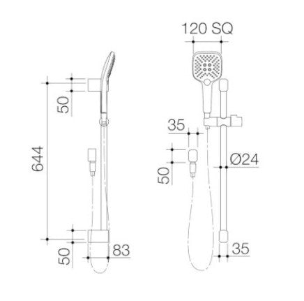 Caroma Luna Multi-function Rail Shower