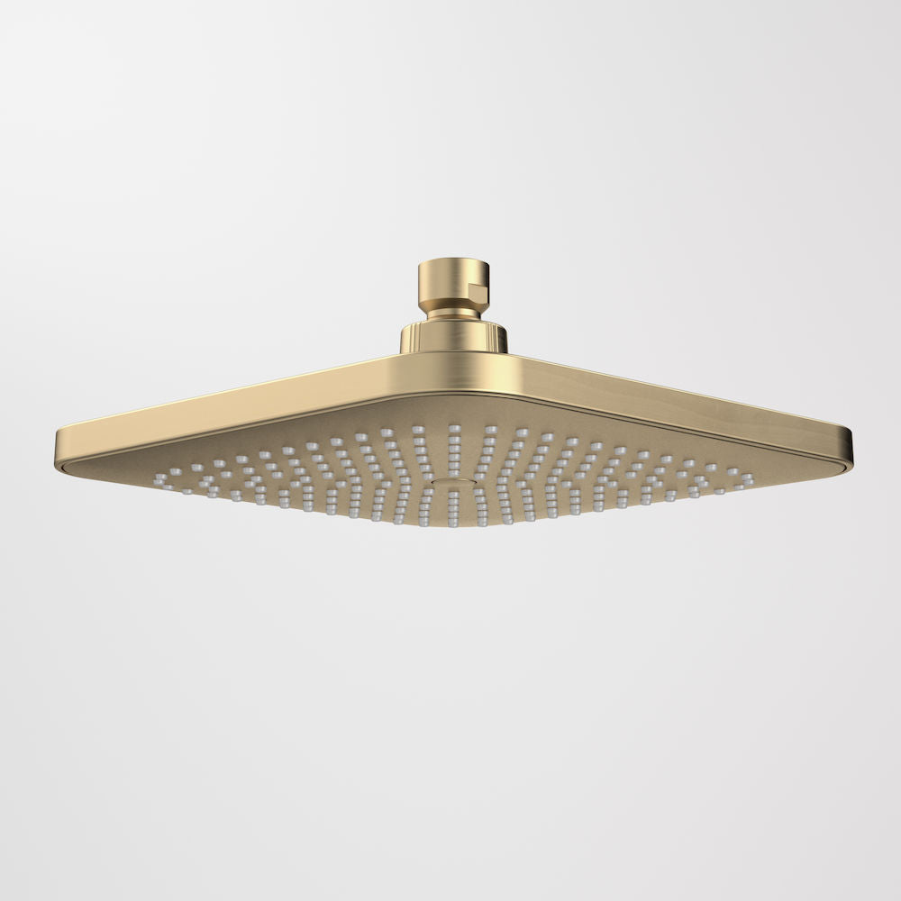 Caroma Luna Overhead Shower Head Brushed Brass