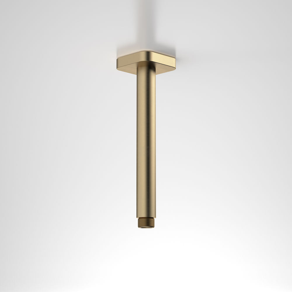 Caroma Luna Straight Arm Square Flange 210 Brushed Brass