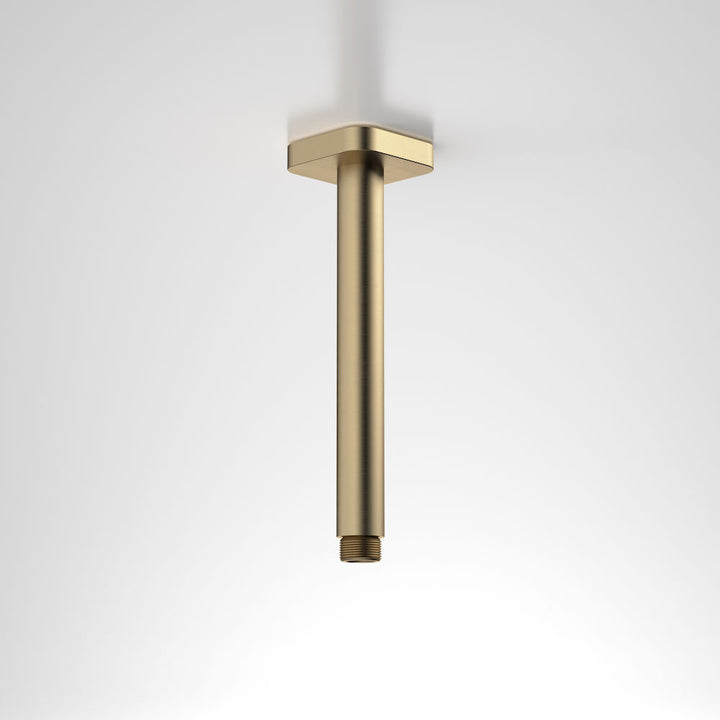 Caroma Luna Straight Arm Square Flange 210 Brushed Brass