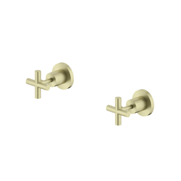 Nero X Plus Wall Tops Assembly (35mm Cartridge) Brushed Gold