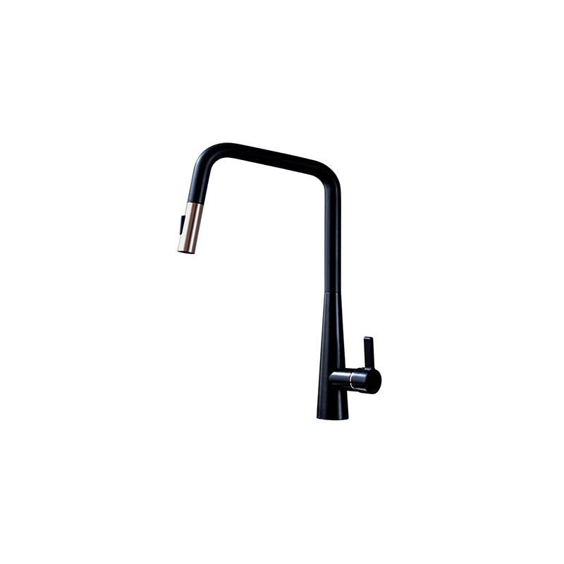 Bad Und Kuche Kuchen Designer Pull Out Curved Kitchen Mixer