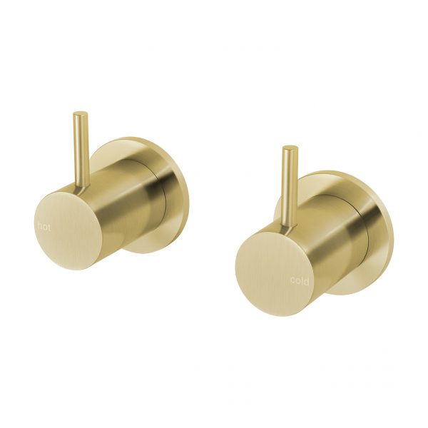 Phoenix Vivid Slimline Wall Top Assemblies Brushed Gold Lead Free